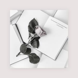 许婷和闺蜜李雪的小说
