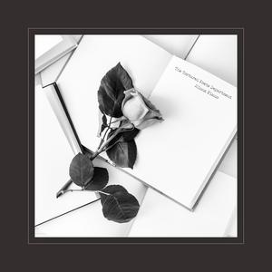 许婷和闺蜜李雪的小说
